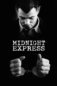 Poster to the movie "Midnight Express" #116061