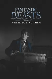 Poster to the movie "Fantastic Beasts and Where to Find Them" #25111