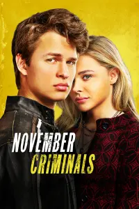 Poster to the movie "November Criminals" #363516