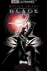 Poster to the movie "Blade" #50519