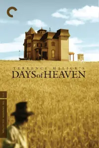 Poster to the movie "Days of Heaven" #570168