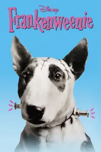 Poster to the movie "Frankenweenie" #254673