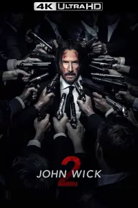 Poster to the movie "John Wick: Chapter 2" #169157