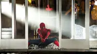 Backdrop to the movie "Spider-Man: Homecoming" #173185