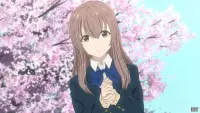 Backdrop to the movie "A Silent Voice: The Movie" #473367