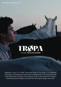 Poster to the movie "Tropa" #634257