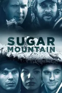 Poster to the movie "Sugar Mountain" #358660