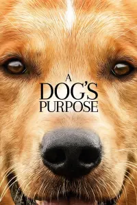 Poster to the movie "A Dog