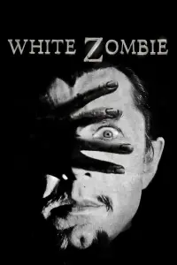 Poster to the movie "White Zombie" #157335