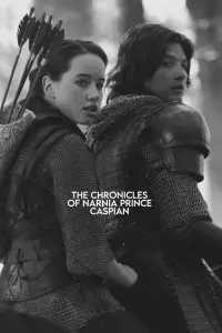 Poster to the movie "The Chronicles of Narnia: Prince Caspian" #581683