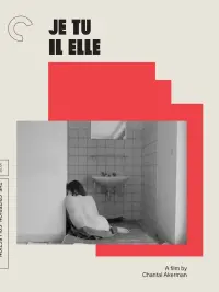 Poster to the movie "Je Tu Il Elle" #635400