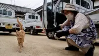 Backdrop to the movie "The Cats of Gokogu Shrine" #631900