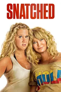 Poster to the movie "Snatched" #87274