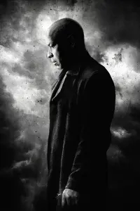 Poster to the movie "The Equalizer 2" #266463