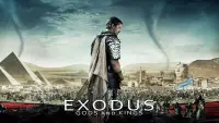 Backdrop to the movie "Exodus: Gods and Kings" #25433