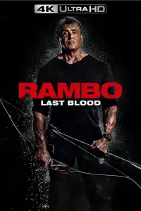 Poster to the movie "Rambo: Last Blood" #35971