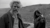 Backdrop to the movie "The Turin Horse" #201324