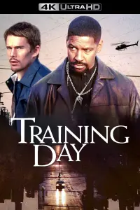 Poster to the movie "Training Day" #211498