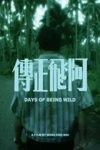 Poster to the movie "Days of Being Wild" #474612