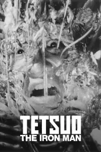 Poster to the movie "Tetsuo: The Iron Man" #250494