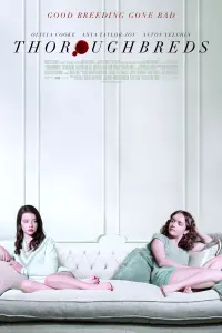 Poster to the movie "Thoroughbreds" #285078