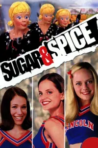 Poster to the movie "Sugar & Spice" #154651