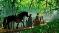 Backdrop to the movie "Albion: The Enchanted Stallion" #512050