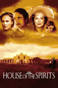 Poster to the movie "The House of the Spirits" #121702