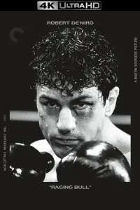 Poster to the movie "Raging Bull" #86252