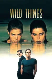 Poster to the movie "Wild Things" #102068