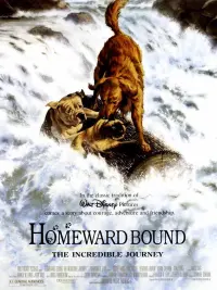 Poster to the movie "Homeward Bound: The Incredible Journey" #251070