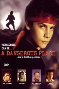 Poster to the movie "A Dangerous Place" #592726