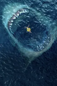 Poster to the movie "The Meg" #170575