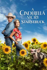 Poster to the movie "A Cinderella Story: Starstruck" #354933