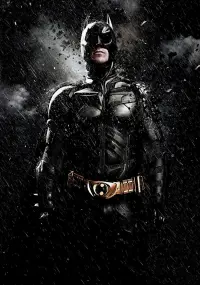 Poster to the movie "The Dark Knight Rises" #646170