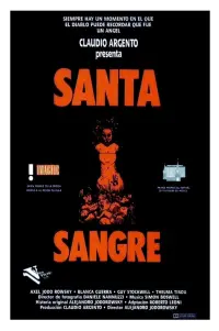 Poster to the movie "Santa Sangre" #624487