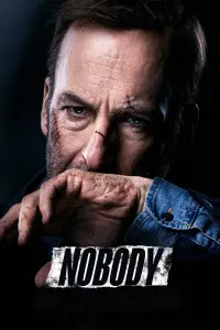 Poster to the movie "Nobody" #35857