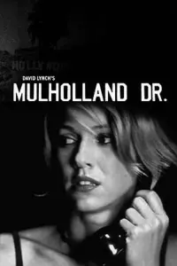 Poster to the movie "Mulholland Drive" #517003