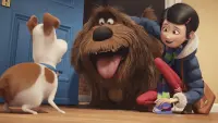 Backdrop to the movie "The Secret Life of Pets" #293695