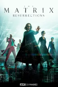 Poster to the movie "The Matrix Resurrections" #314368