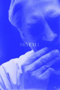 Poster to the movie "Skyfall" #607230