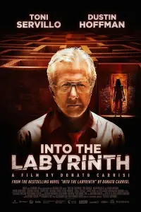 Poster to the movie "Into the Labyrinth" #288894