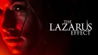 Backdrop to the movie "The Lazarus Effect" #149937