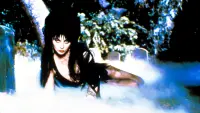 Backdrop to the movie "Elvira, Mistress of the Dark" #278251