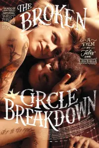 Poster to the movie "The Broken Circle Breakdown" #201404