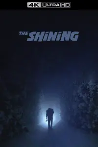 Poster to the movie "The Shining" #43605