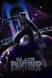 Poster to the movie "Black Panther" #219866