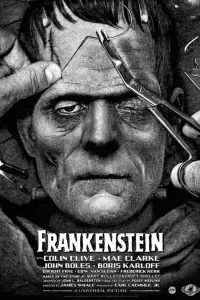 Poster to the movie "Frankenstein" #85987