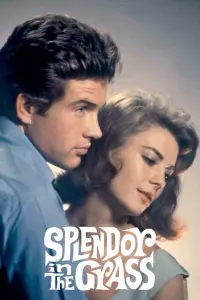 Poster to the movie "Splendor in the Grass" #365062