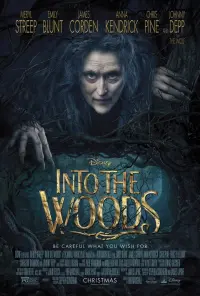 Poster to the movie "Into the Woods" #60673